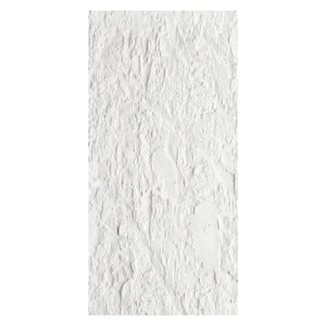 Shale Rock Panels: A Collection, Not a Covering